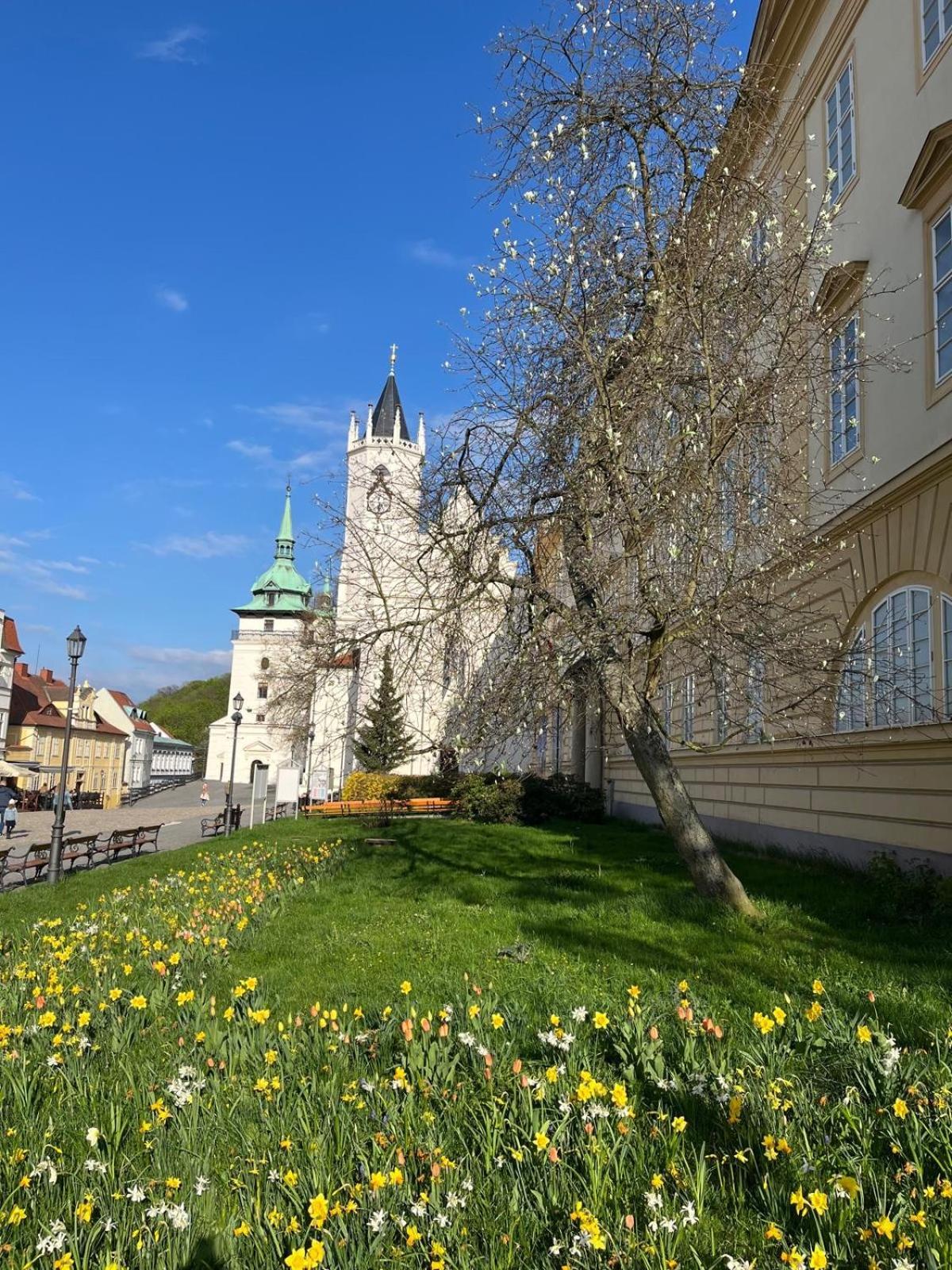 Vila Adéla - Teplice Extérieur photo